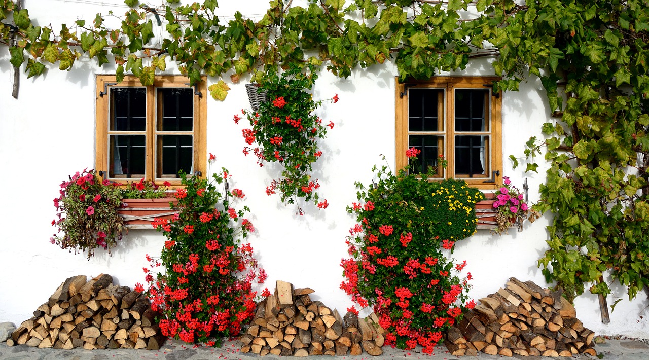 Upiększanie ogrodu – najpiękniejsze kwiaty na taras oraz balkon